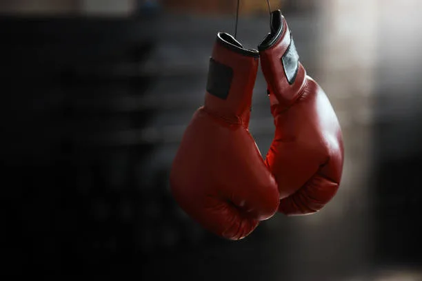UFC & Glory — Vechtsport via FreddyTV